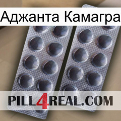 Аджанта Камагра 31